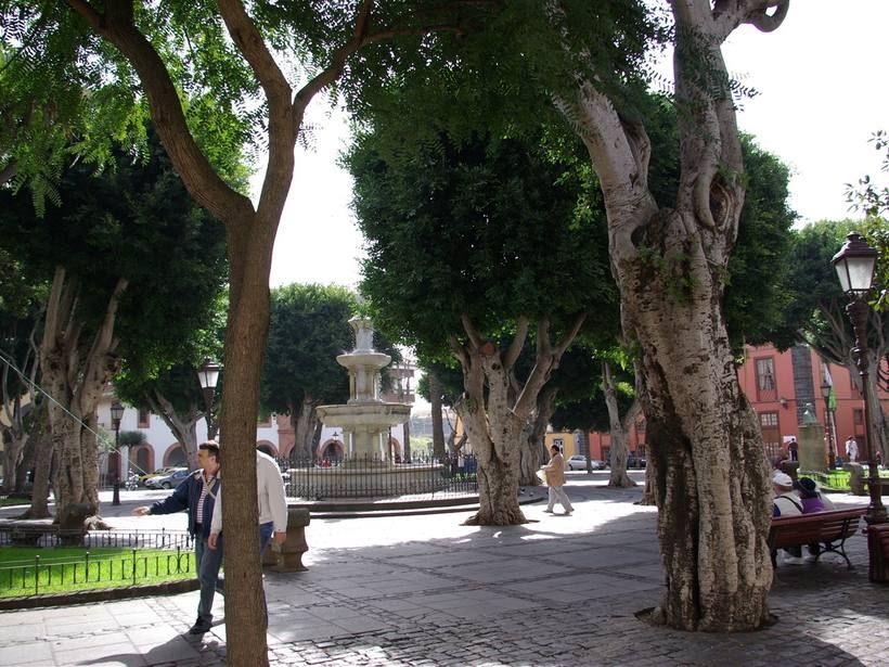 La plaza colonial arbolada de un casco antiguo histórico de Tenerife